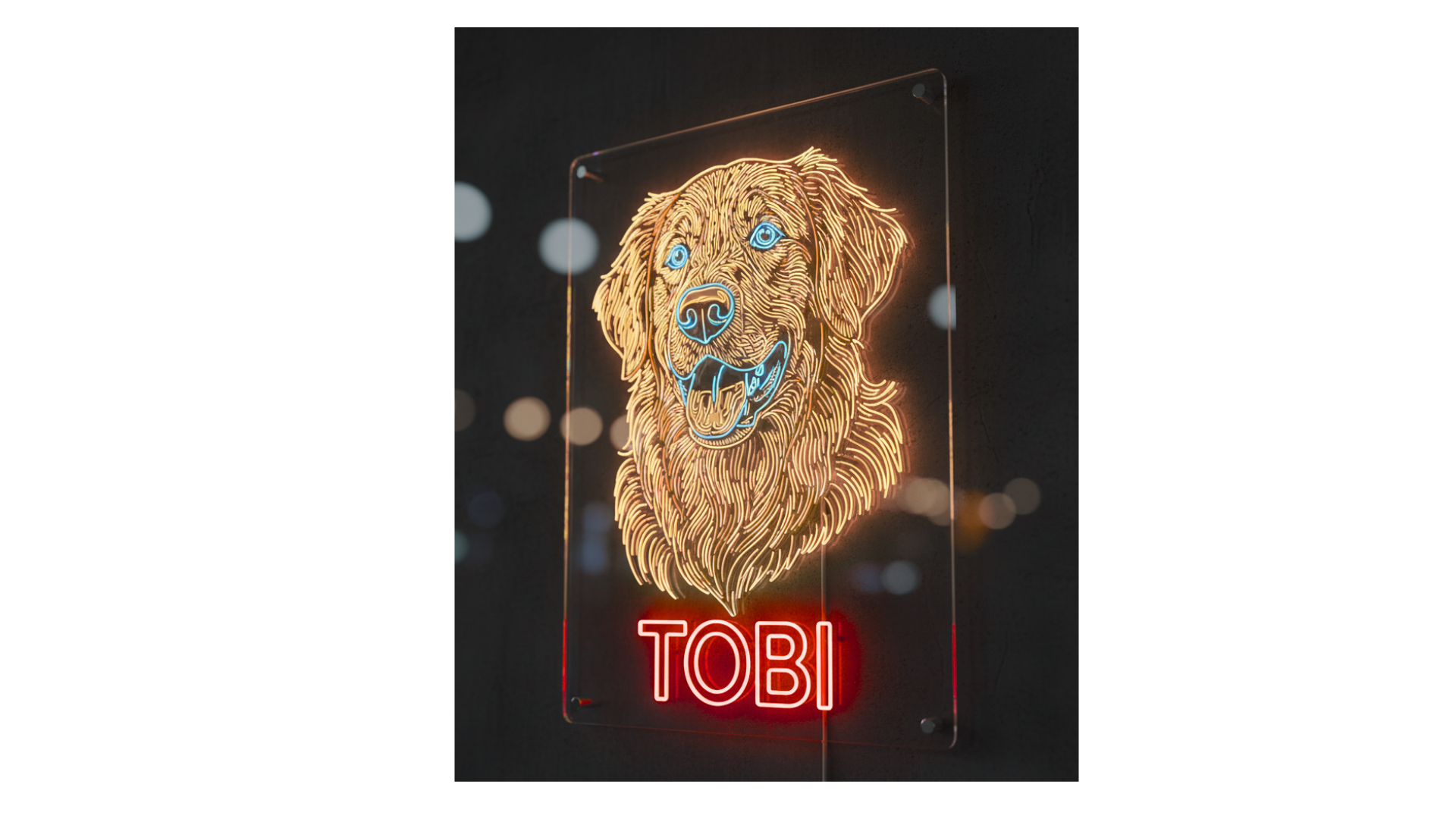 Paso 3: Recibe tu producto